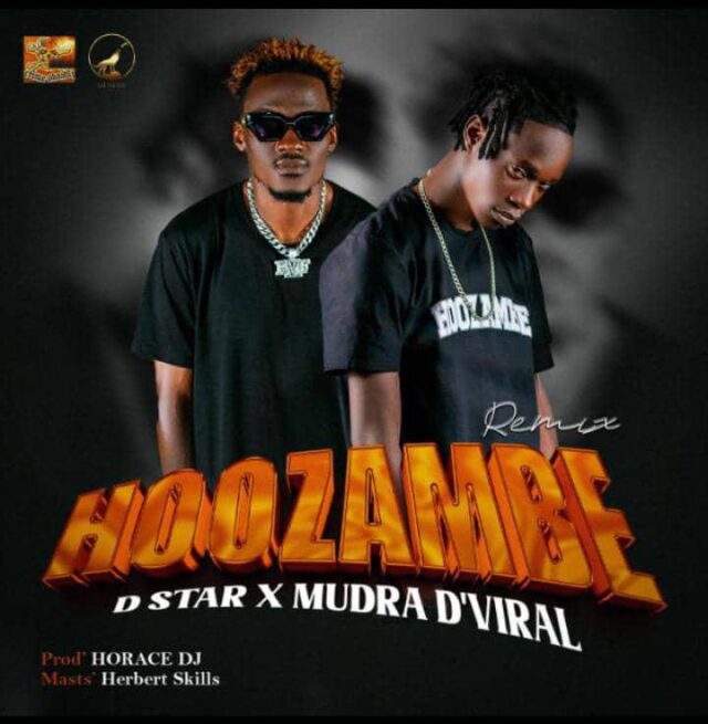 Hoozambe remix by Mudra and D Star